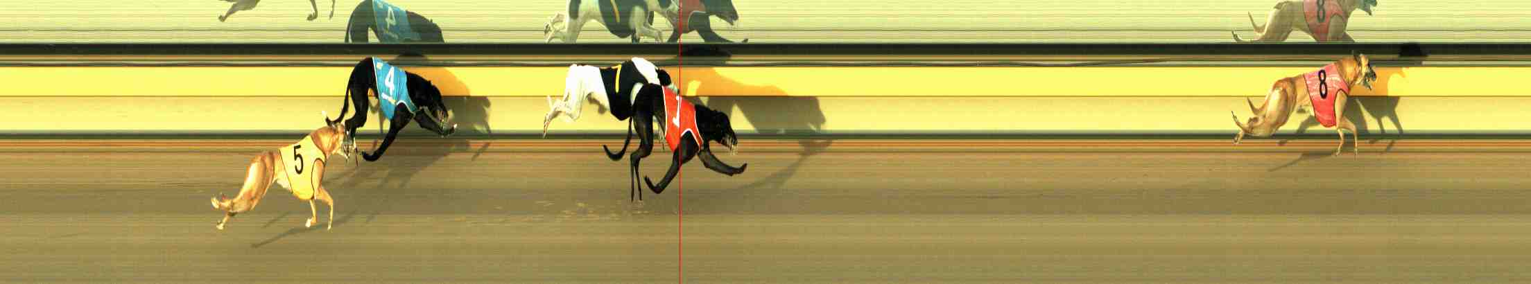 Photo finish for Horsham Race 7