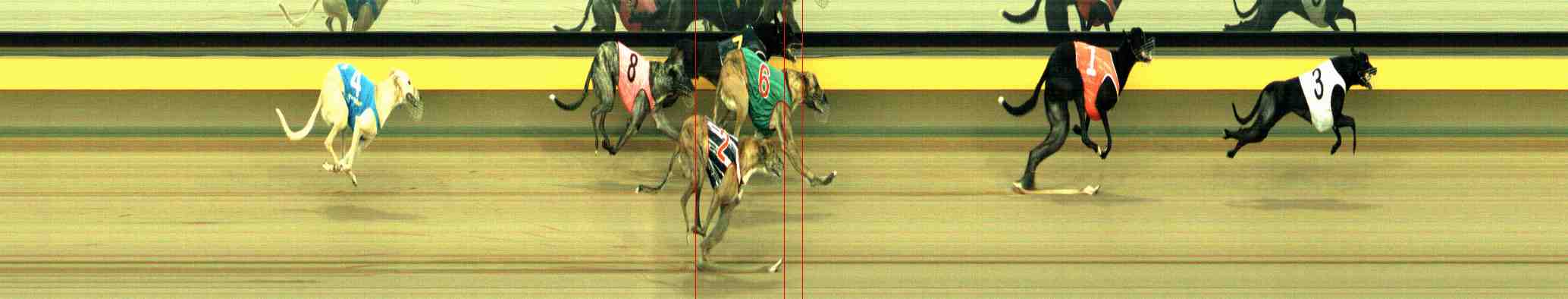 Photo finish for Horsham Race 9