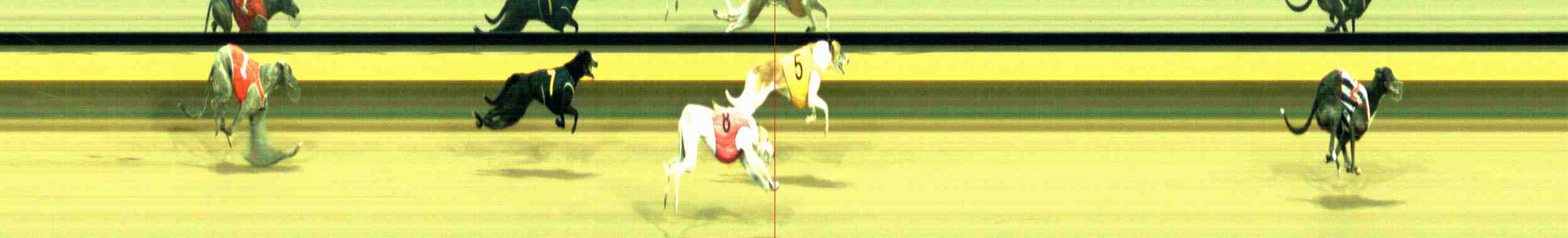 Photo finish for Horsham Race 10