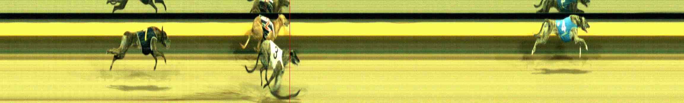 Photo finish for Horsham Race 11