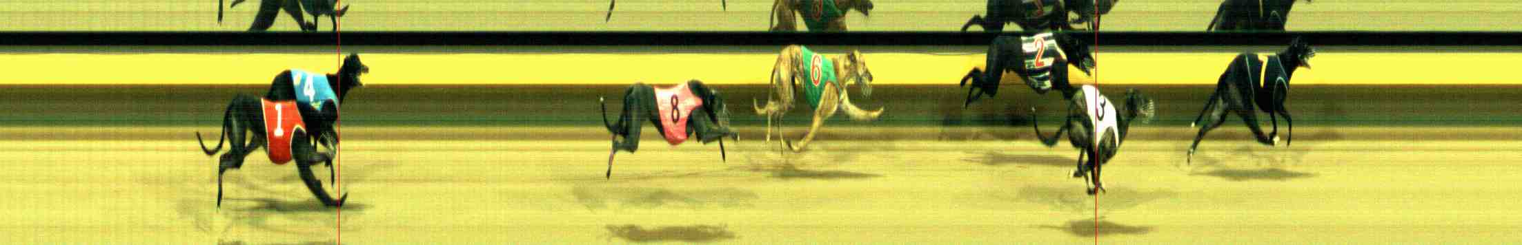 Photo finish for Horsham Race 12
