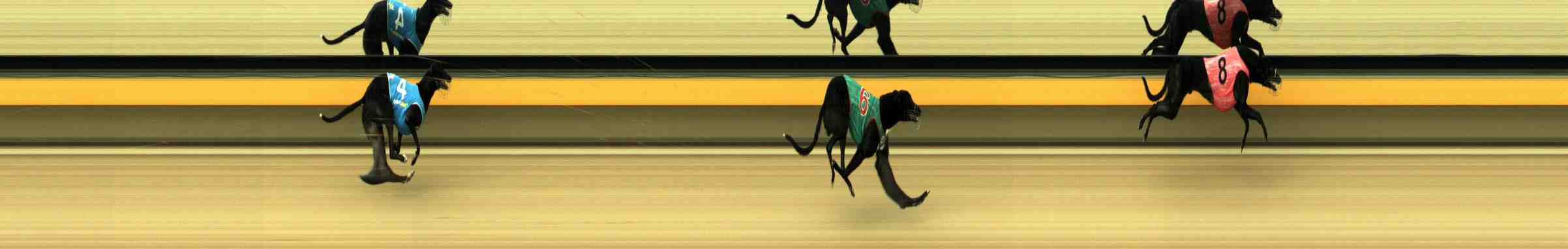 Photo finish for Horsham Race 1