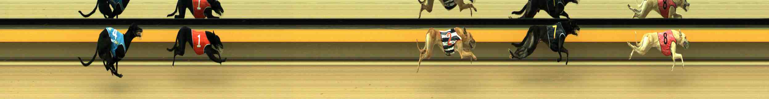 Photo finish for Horsham Race 2