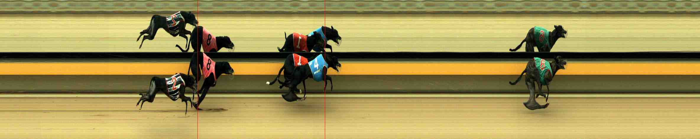 Photo finish for Horsham Race 3