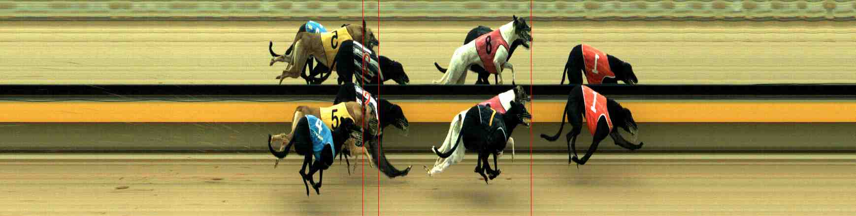 Photo finish for Horsham Race 4