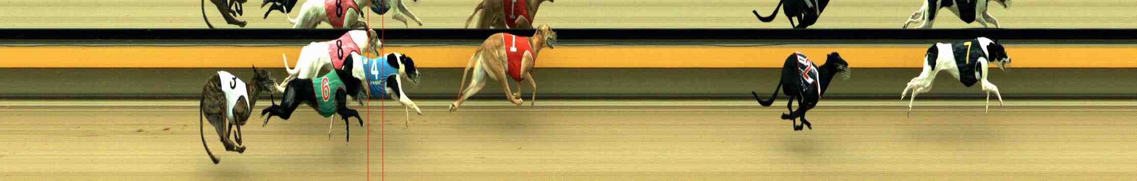 Photo finish for Horsham Race 5