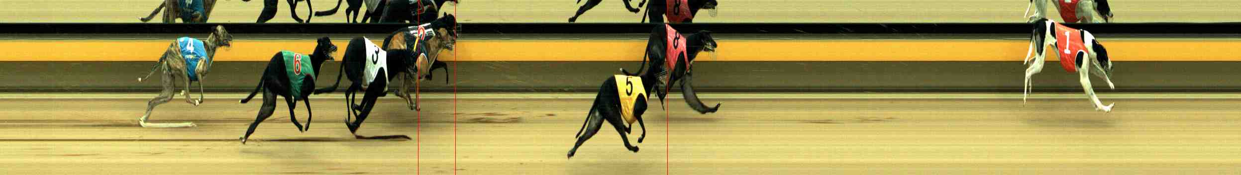 Photo finish for Horsham Race 6