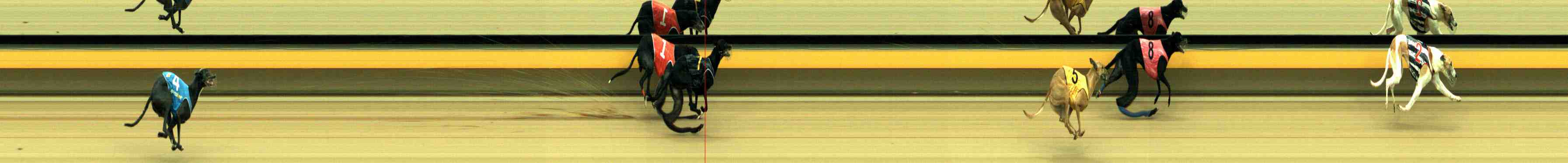 Photo finish for Horsham Race 7