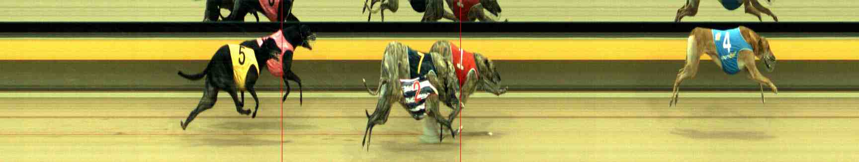 Photo finish for Horsham Race 8