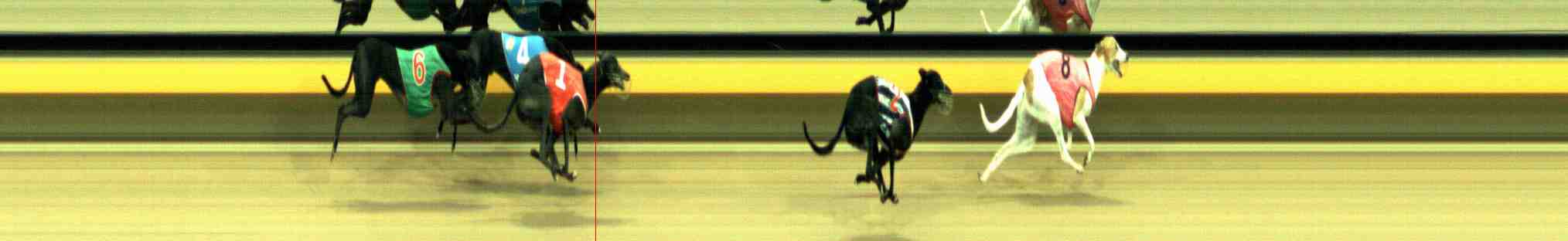 Photo finish for Horsham Race 9