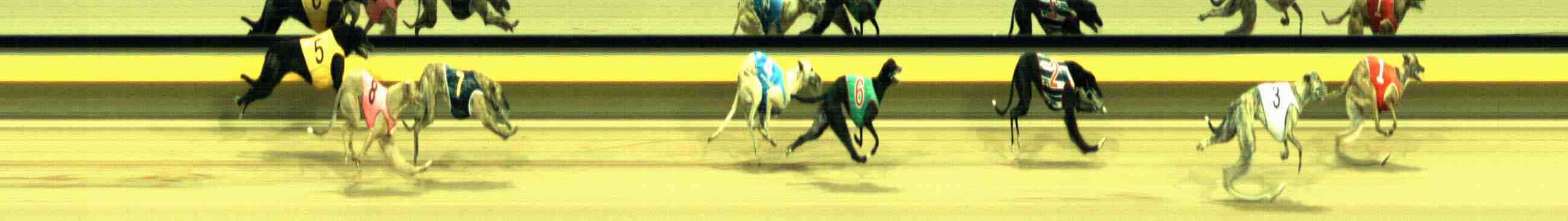 Photo finish for Horsham Race 10