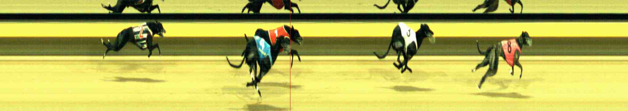 Photo finish for Horsham Race 13