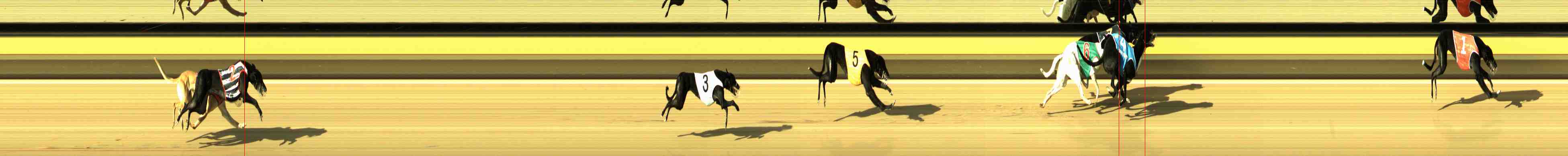 Photo finish for Horsham Race 1