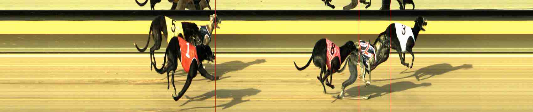 Photo finish for Horsham Race 2