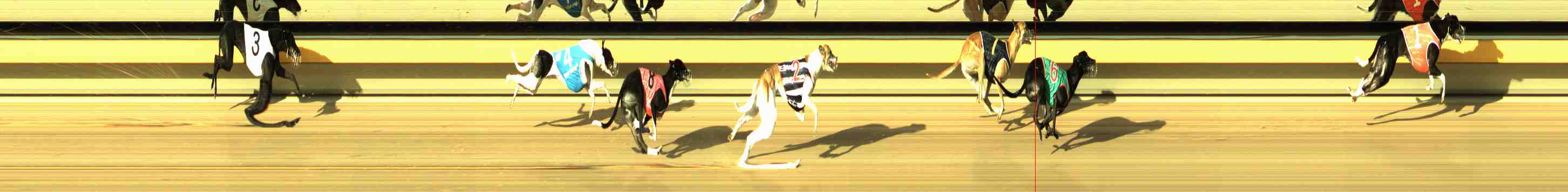 Photo finish for Horsham Race 3