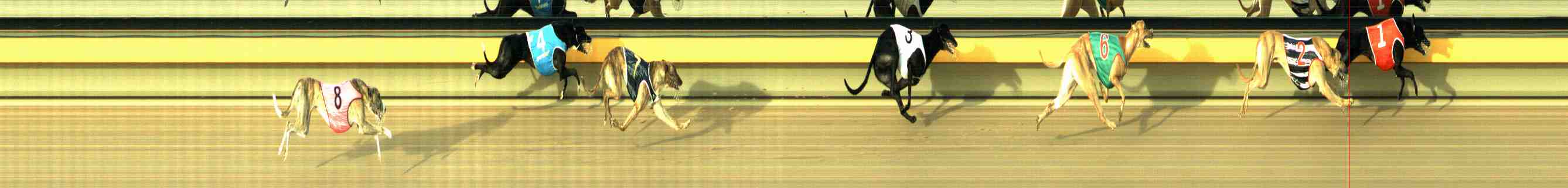 Photo finish for Horsham Race 5