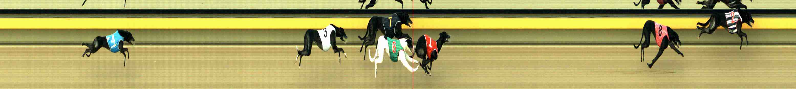 Photo finish for Horsham Race 6