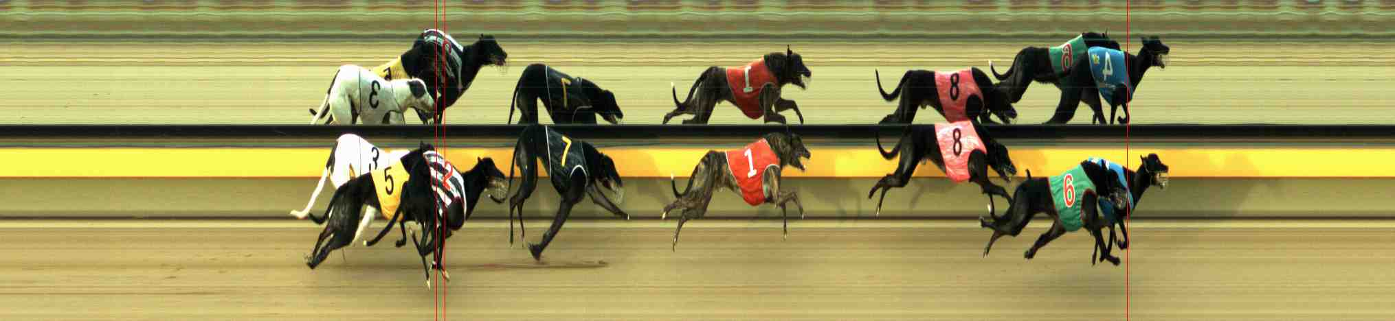 Photo finish for Horsham Race 7