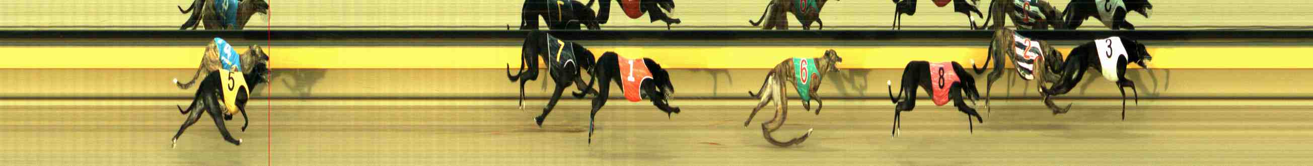 Photo finish for Horsham Race 8