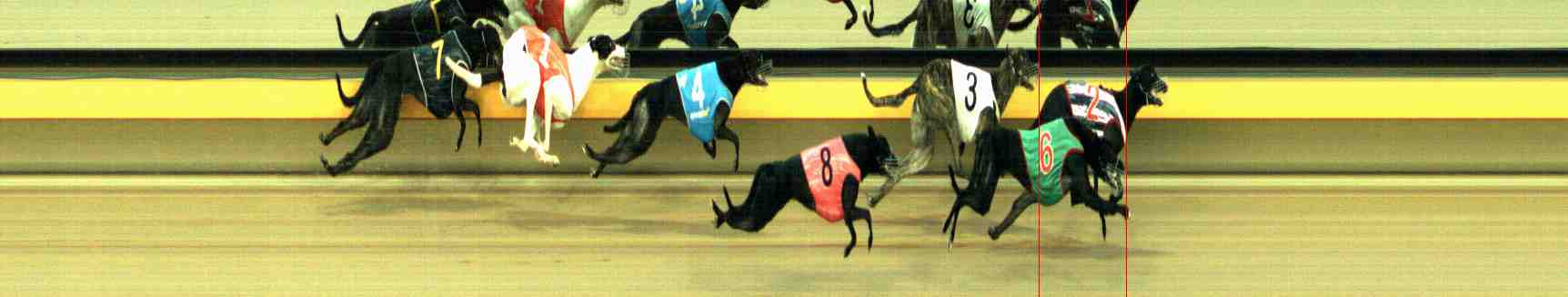 Photo finish for Horsham Race 9