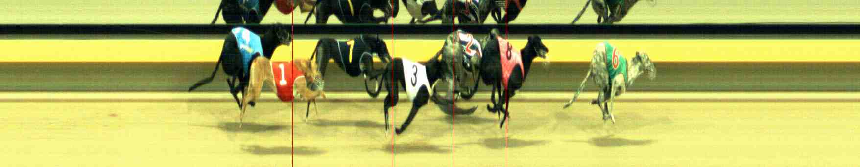 Photo finish for Horsham Race 10