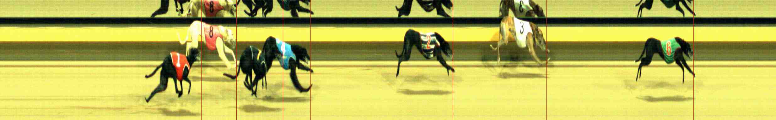 Photo finish for Horsham Race 11