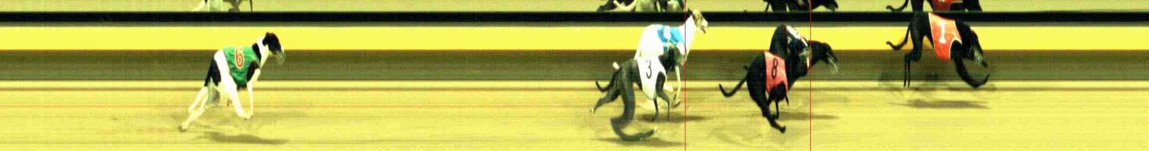 Photo finish for Horsham Race 12