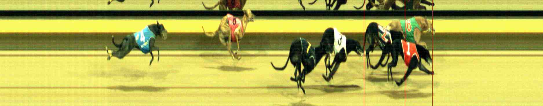Photo finish for Horsham Race 13