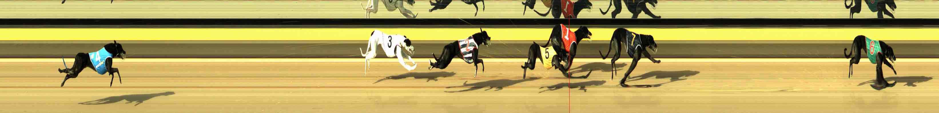 Photo finish for Horsham Race 1