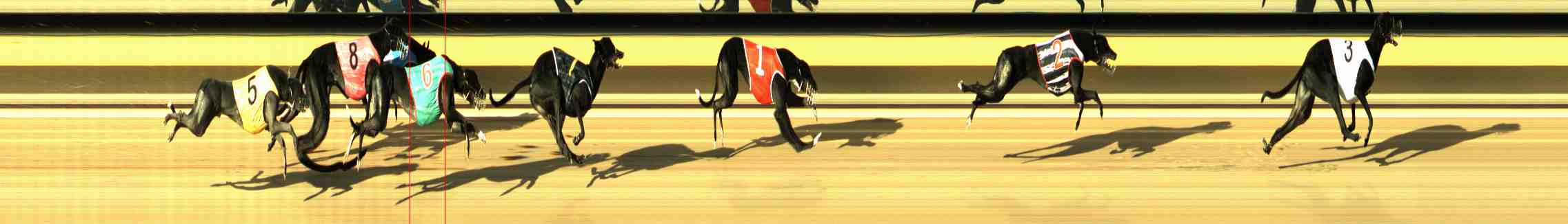 Photo finish for Horsham Race 2