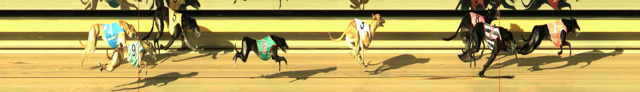 Photo finish for Horsham Race 3
