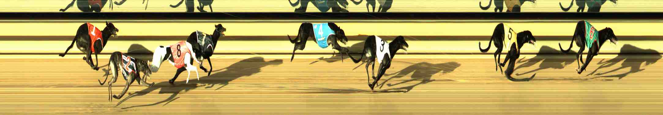 Photo finish for Horsham Race 4