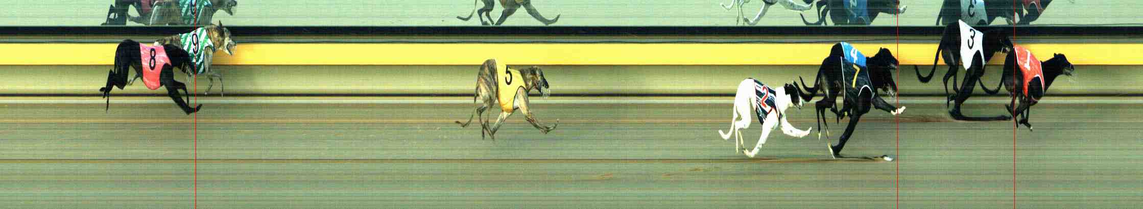 Photo finish for Horsham Race 5