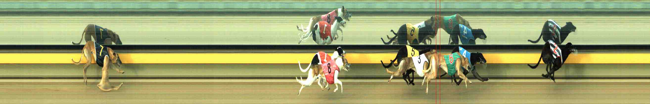 Photo finish for Horsham Race 6