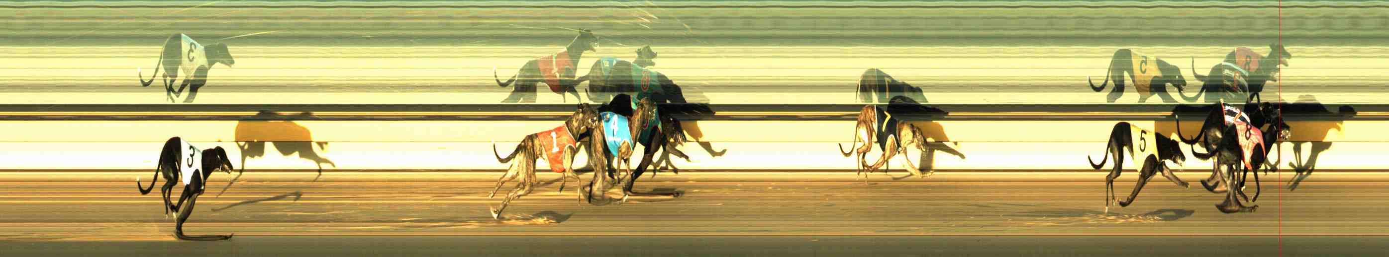 Photo finish for Horsham Race 7