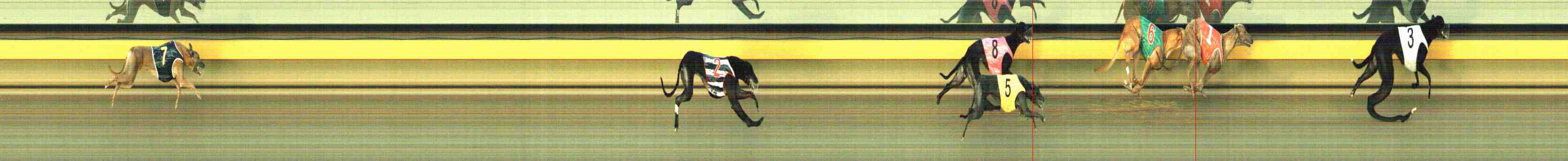 Photo finish for Horsham Race 8