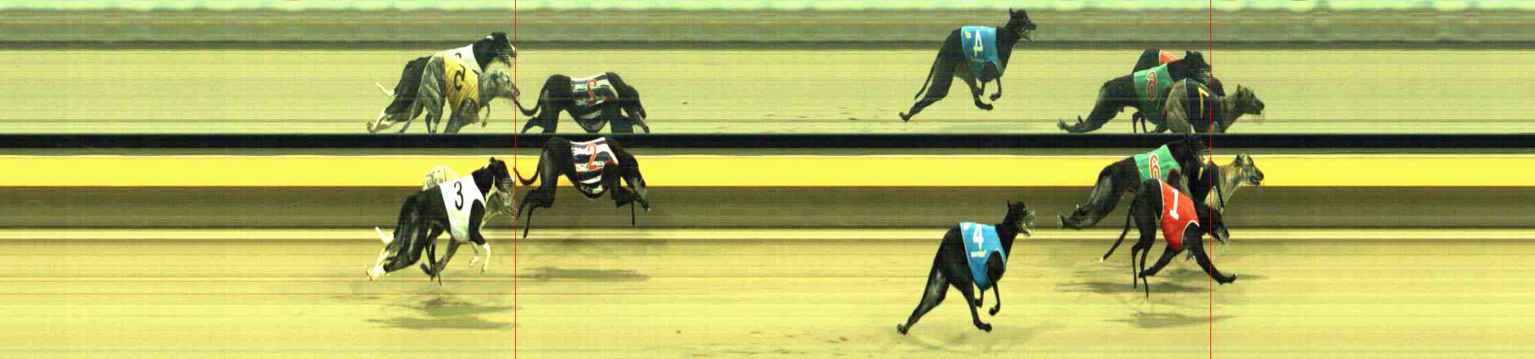 Photo finish for Horsham Race 9