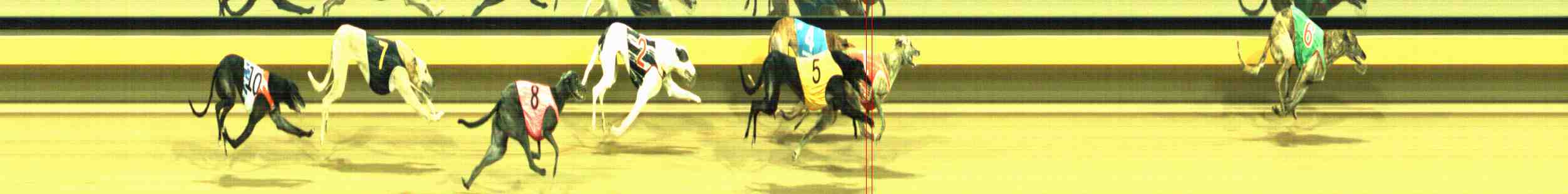 Photo finish for Horsham Race 10