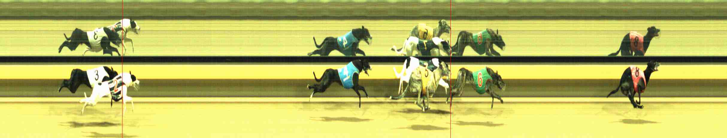 Photo finish for Horsham Race 11