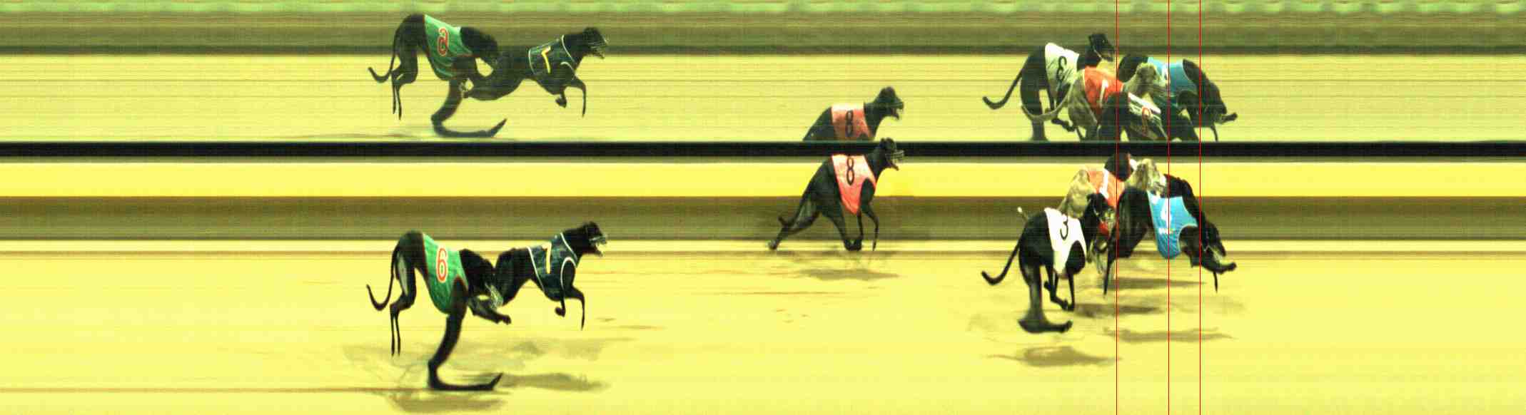 Photo finish for Horsham Race 12
