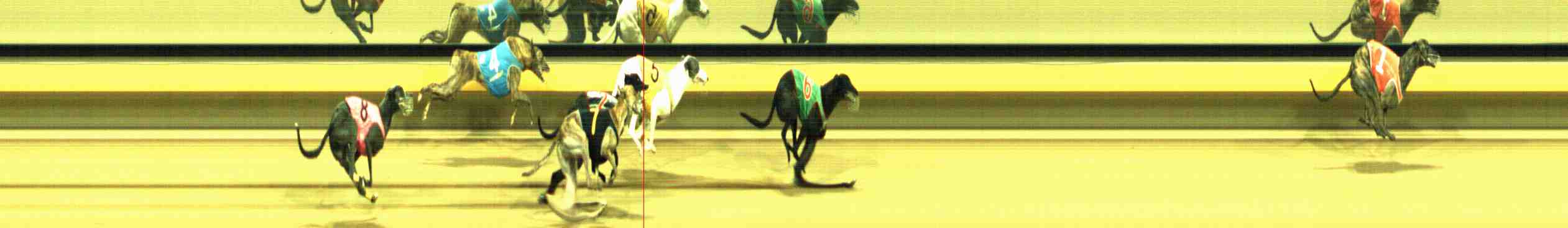 Photo finish for Horsham Race 13