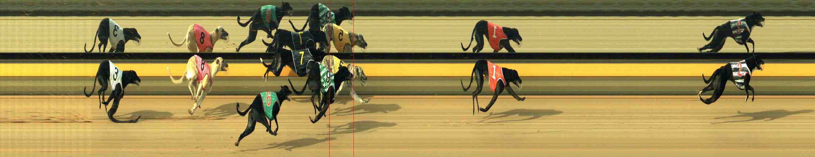 Photo finish for Horsham Race 1