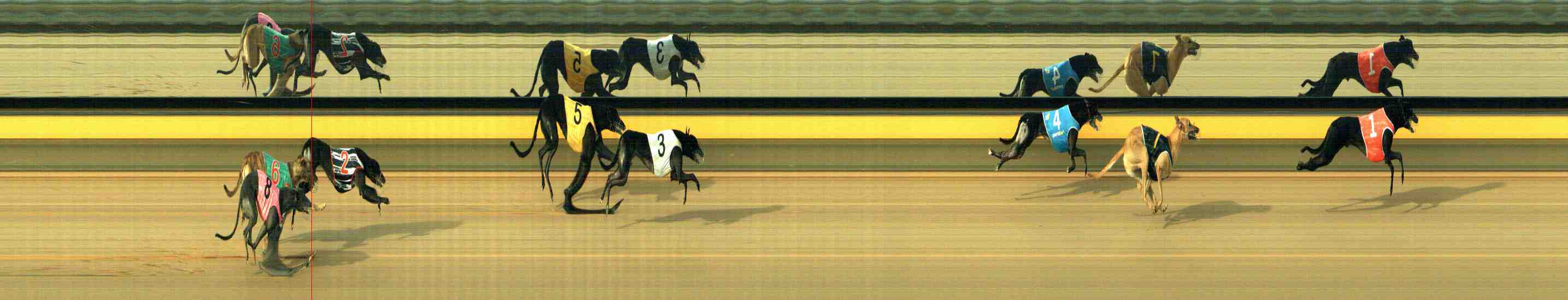 Photo finish for Horsham Race 2