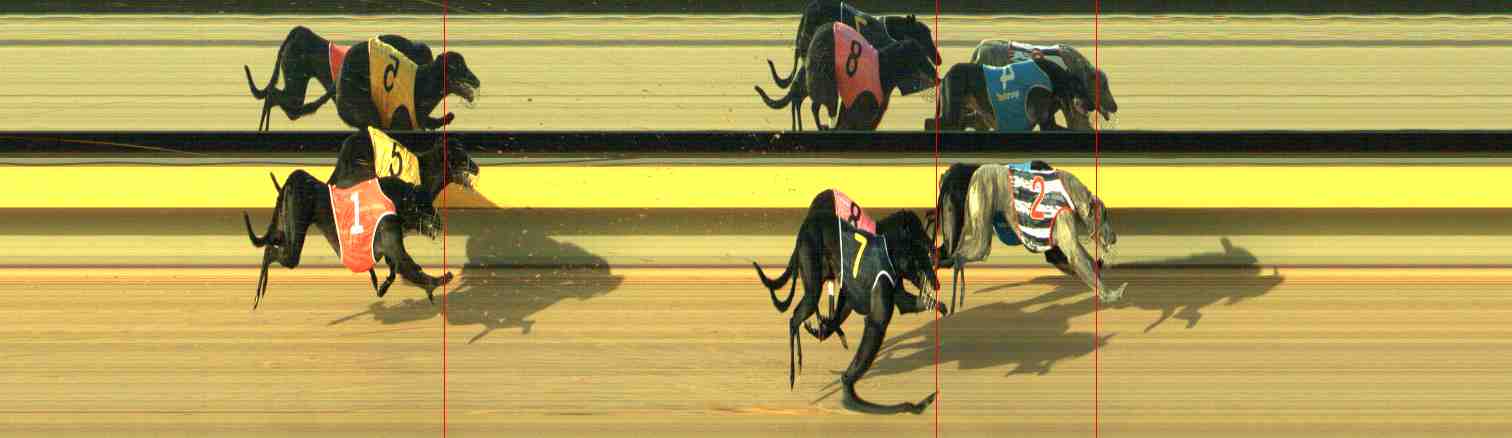 Photo finish for Horsham Race 4