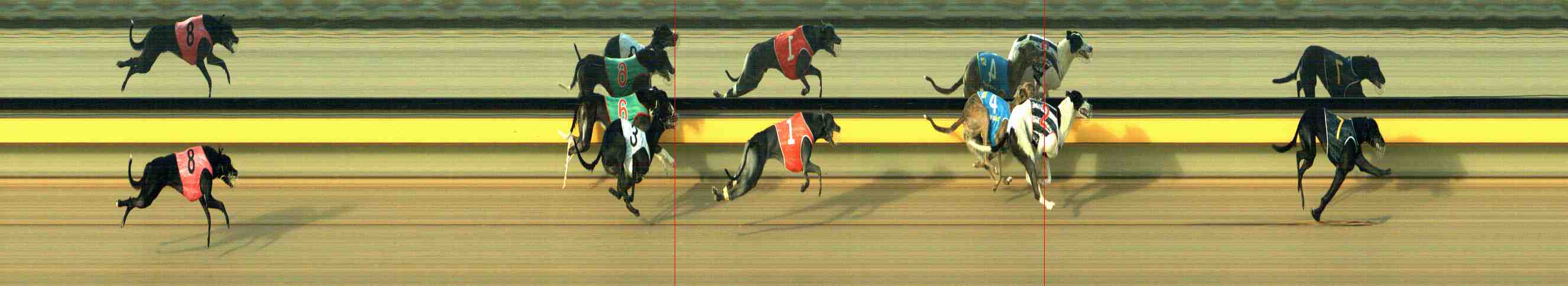 Photo finish for Horsham Race 5