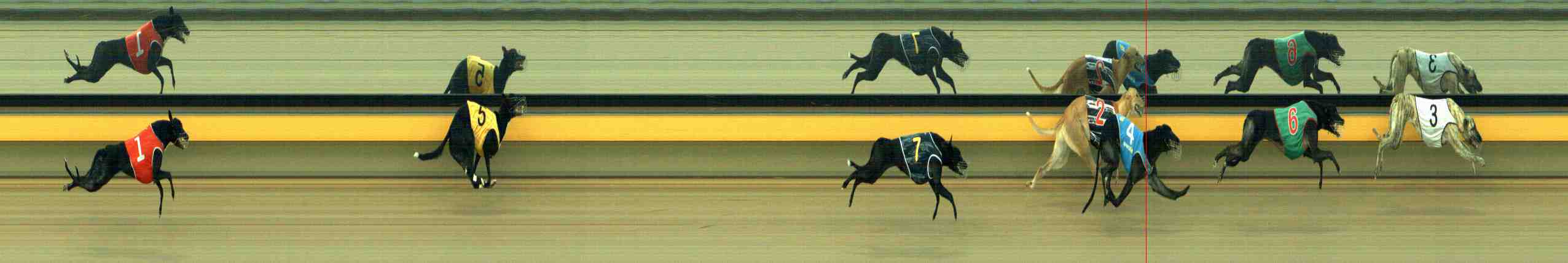 Photo finish for Horsham Race 6