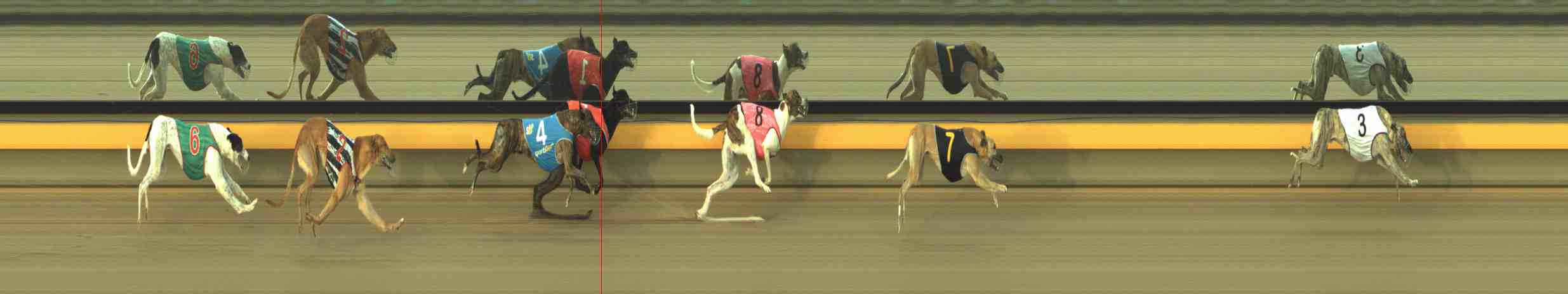 Photo finish for Horsham Race 7