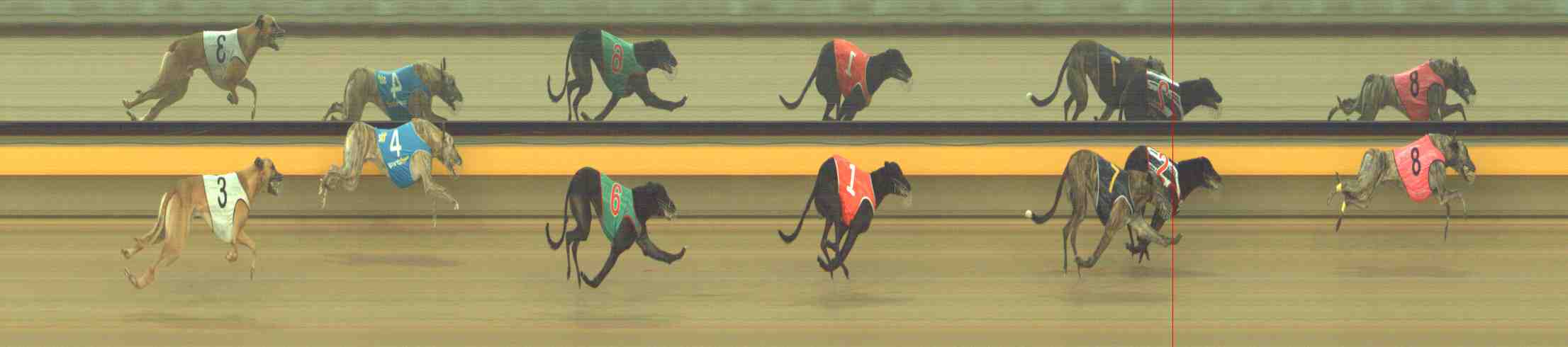 Photo finish for Horsham Race 8