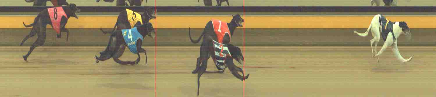 Photo finish for Horsham Race 9