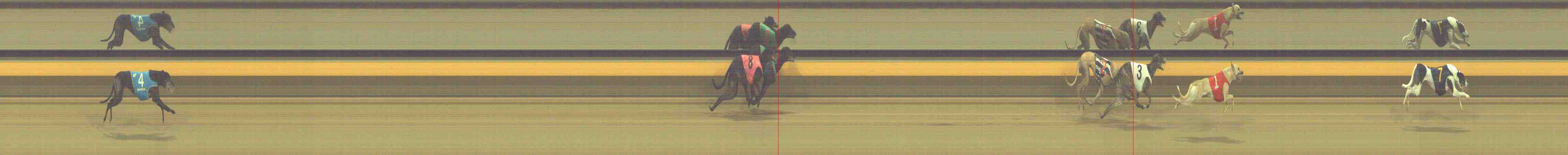 Photo finish for Horsham Race 10